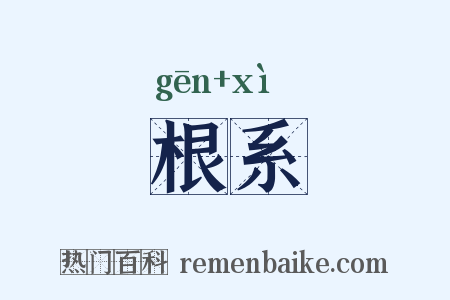根系是什么意思的图片